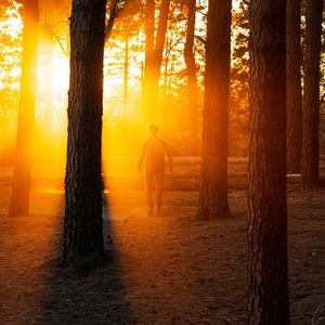 Meet your Posher, Philip